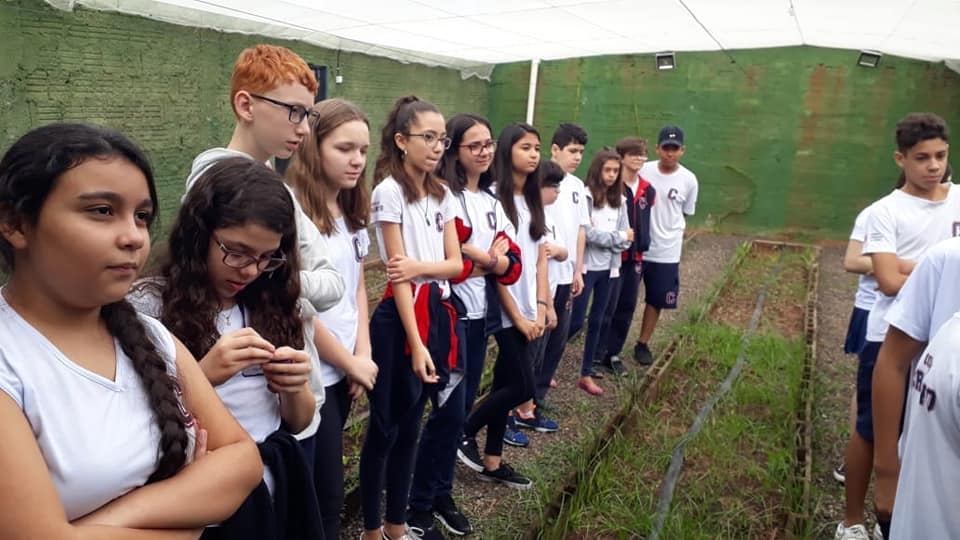 7º ano - Aproveitamento de resíduos orgânicos