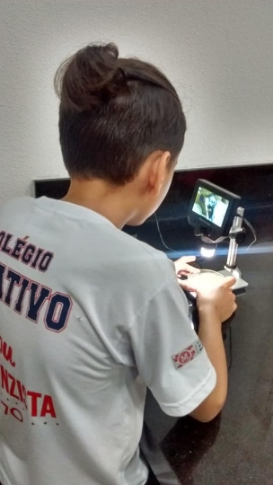 Estudando o Reino Monera
