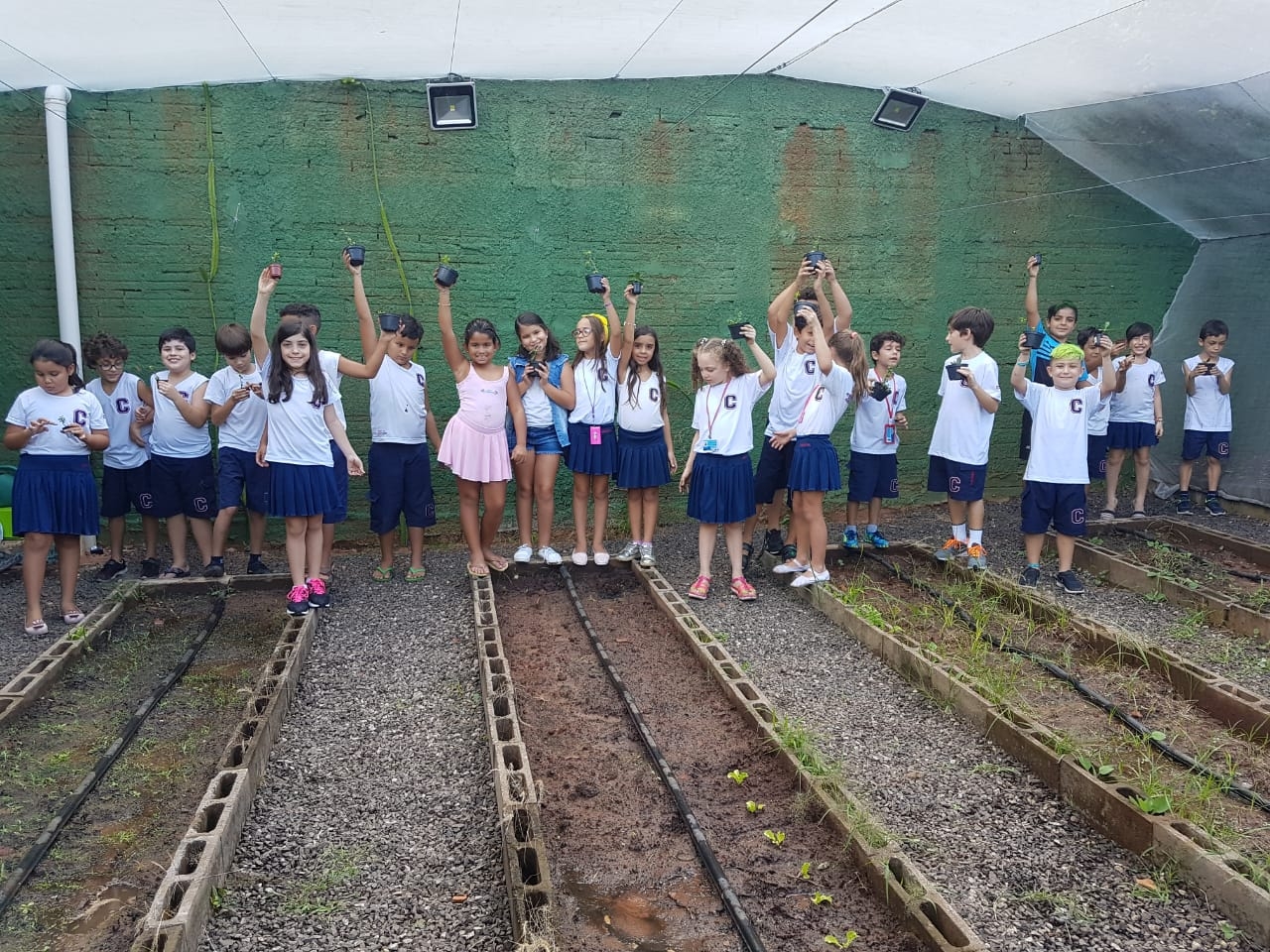 3°ano B - Cultivo de plantas
